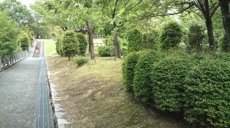 ファイル 198-1.jpg