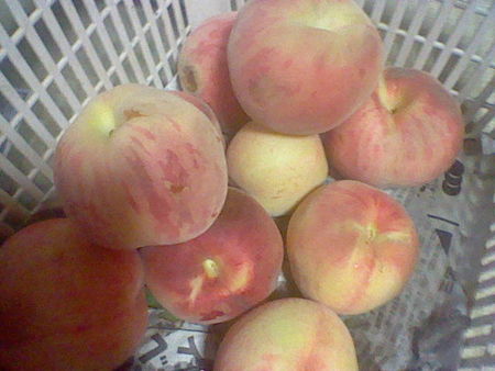 ファイル 203-1.jpg