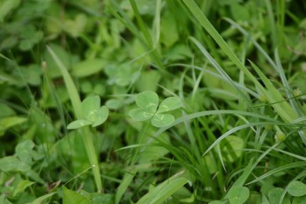 ファイル 212-2.jpg