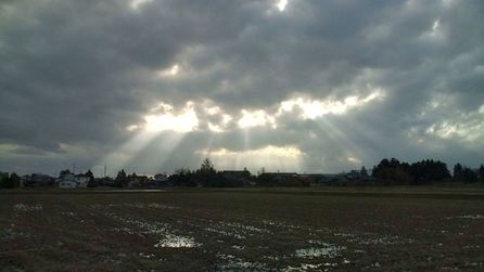 ファイル 230-3.jpg