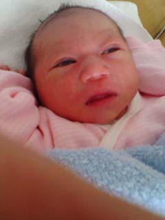 ファイル 112-1.jpg