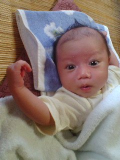 ファイル 114-1.jpg