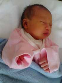 ファイル 116-2.jpg