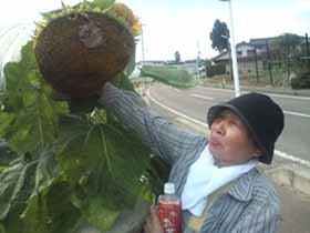 ファイル 205-1.jpg