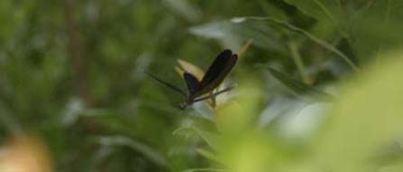 ファイル 208-1.jpg