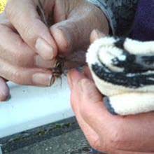 ファイル 220-3.jpg