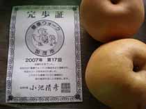 ファイル 87-4.jpg