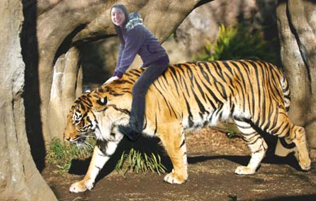 ファイル tora.jpg